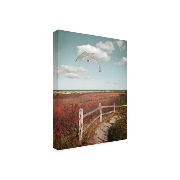 Brooke T. Ryan 'Gull Over Coastal Trail' Canvas Art,18x24